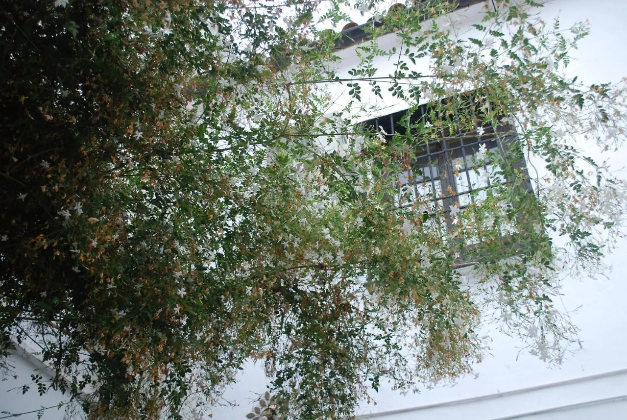 Backpacker Al-Katre Bed & Breakfast Cordoba