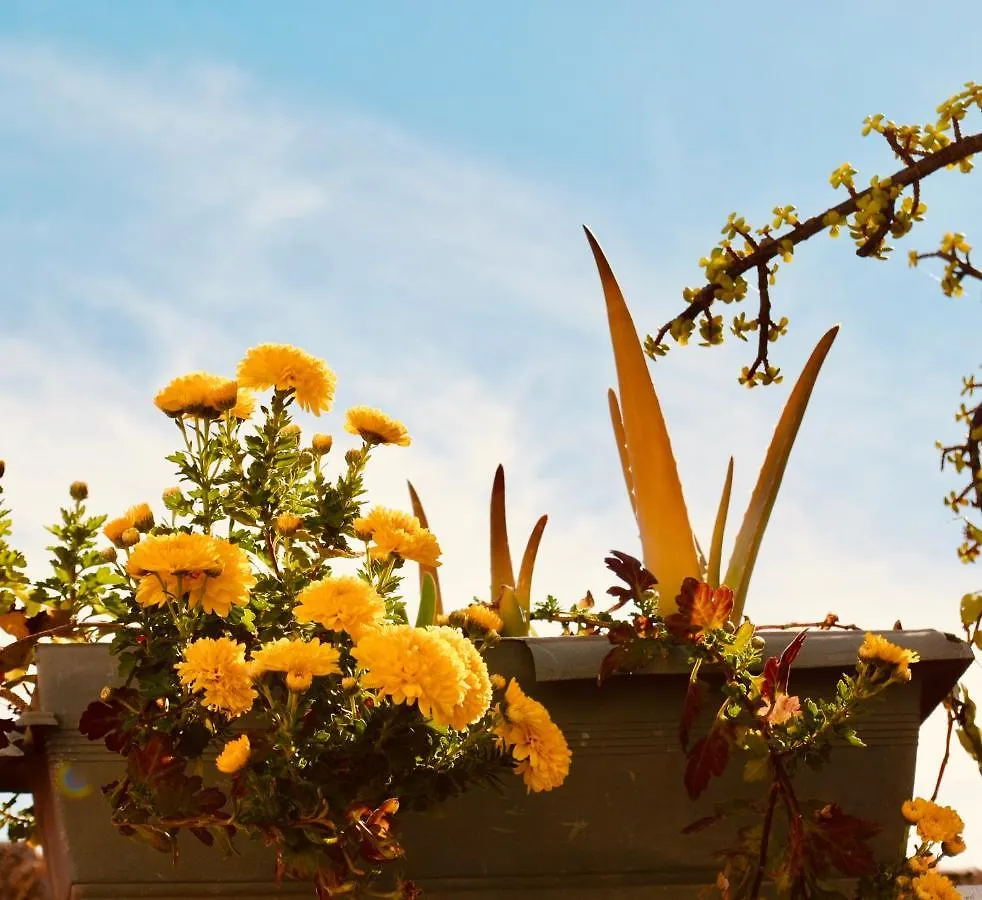 Backpacker Al-Katre Bed & Breakfast Cordoba Spain